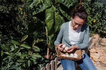 woman farmer collecting eggs on the organic farm with chickens or laying hens