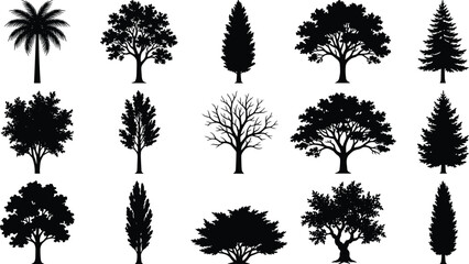 Fototapeta premium Detailed Black Silhouette Set of Various Trees, Including Palm, Deciduous, Coniferous, and Leafless Species, Ideal for Landscape Design, Nature Icons, Architecture Planning, and Botanical Graphics.