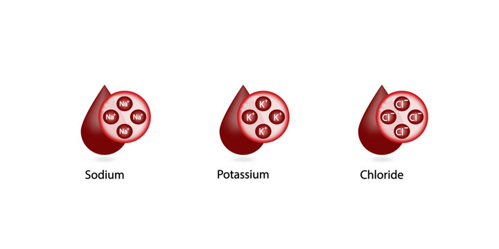 Electrolytes. Sodium,  Potassium, Chloride,  ions. Blood droplet, icon isolated on white background. Scientific Vector illustration.