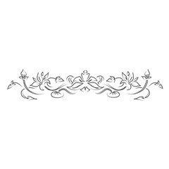 Fototapeta premium Flouring hand drawn divider