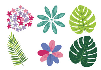 Vector set of diverse tropical leaves and colorful flowers collection © TRSTOCK