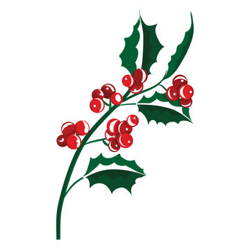 Mistletoe branch icon 23