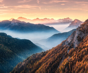 Naklejka premium Mountains in low clouds at sunrise in autumn in Dolomites, Italy. Landscape with misty alpine mountains, orange trees in fall, colorful sky with golden sunbeams. Aerial. Panorama. Italian Alps in fog