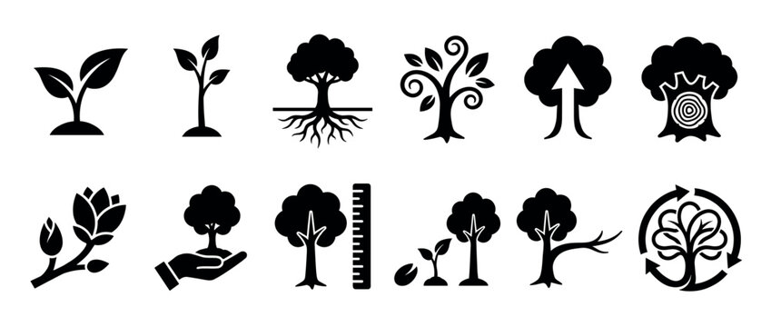 Collection of plant growth and tree development icons illustrating the life cycle, ecology, and environmental concepts in black silhouettes.
