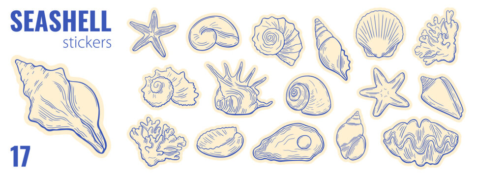 Seashell summer sticker set. Hand drawing ocean shells, starfish, coral, marine elements. Beach themed sketch with sea icons in line art style.