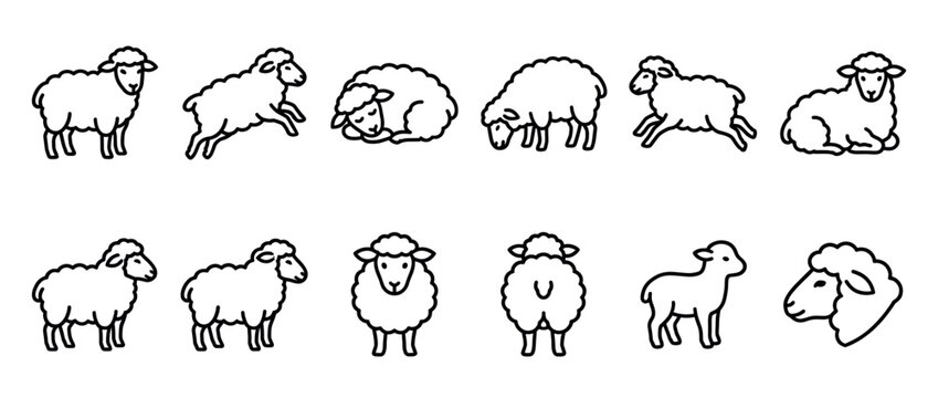 Sheep and lamb outline illustrations in various poses and actions, depicting standing, grazing, sleeping, and jumping farm animals.