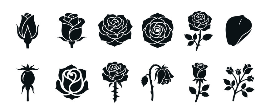 Rose flower plant botanical collection of various stages and forms, including buds, open blooms, wilting flowers, and rose hips, in a silhouette style.