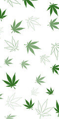 Fototapeta premium Vertical scattered green cannabis leaves on transparent background for 420 holiday pattern design. Marijuana culture, festive backdrop