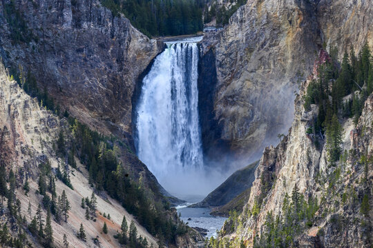 Lower Falls Yellowstone National Park