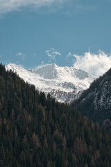 Fototapeta premium Alpine mountain landscape with forested slopes under a clear blue sky in South Tyrol, Italy.
