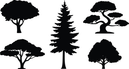 WebTree silhouette illustration, black shapes, forest outline, nature design, bonsai style, coniferous tree, deciduous canopy, landscape art, foliage drawing © Mostofa