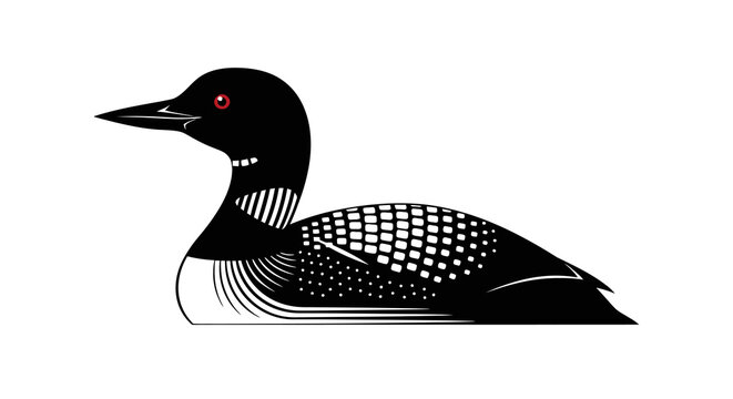 Common Loon Bird Profile Illustration Isolated on White