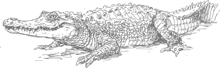 Obraz premium Resting alligator lying on ground showing rough textured skin and powerful limbs in natural habitat