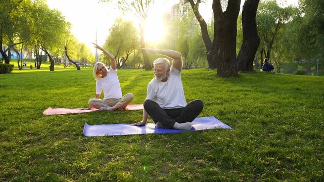 couple of elderly seniors practice yoga on mats in the park, gray-haired pensioners exercise outdoors and actively relax in the summer