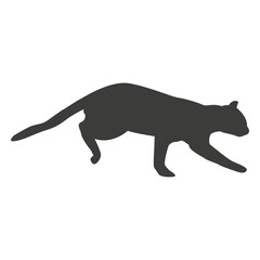 Fototapeta premium Cat running sequence 19