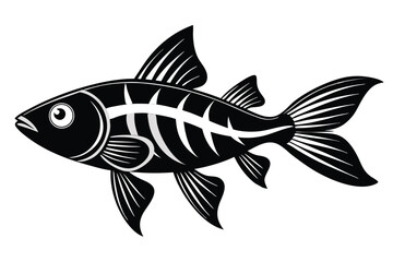 Fototapeta premium molly fish silhouette line art vector illustration