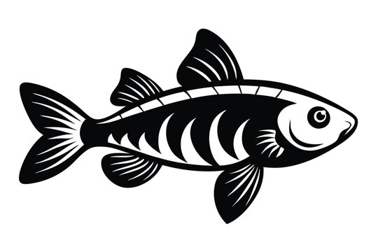 molly fish silhouette line art vector illustration