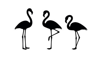 Obraz premium Three standing flamingo silhouettes in black with varied leg poses