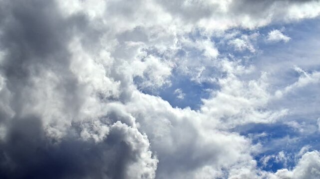 Dramatic sky filled with fluffy white clouds and deep gray storm clouds. Bright blue patches peek through cloud layers. Dynamic cloud movement suggests changing weather. Perfect for nature backgrounds