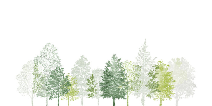 Architectural Drawings of Minimal CAD Tree Line Art, Side View Wetland Forest Section, Outline Set in Separate Elements, Landscape Design Vector Illustration for Professional Drafting and Planning Use