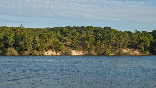 Green trees on the shore of Montargil lake in soft evening sunlight. Ponte de sor, Portugal 