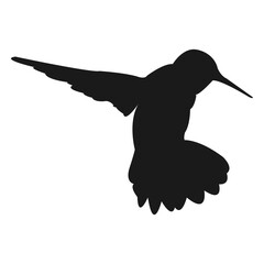 Obraz premium Hummingbird silhouette
