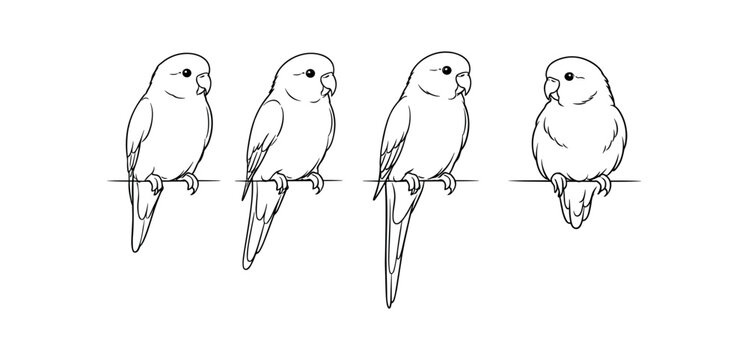 Four black line drawings of parakeets perched on a horizontal perch in side view.