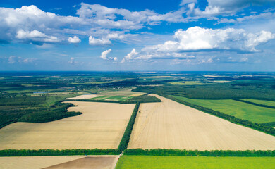 Naklejka premium green field and blue sky