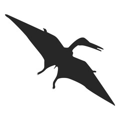 Pterosaur silhouette © Vexels