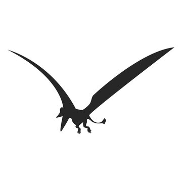 Pterosaur silhouette 1