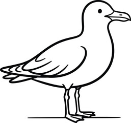 Fototapeta premium Simple line drawing of a seagull standing on the ground