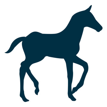 Rose Speaks in support of the Tennessee Walking Horse industry - UCBJ - Upper Cumberland Business Journal Rose Speaks in support of the Tennessee Walking Horse industry - UCBJ - Upper Cumberland Business Journal