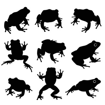 Frog Silhouette Vector Collection Isolated White Background

