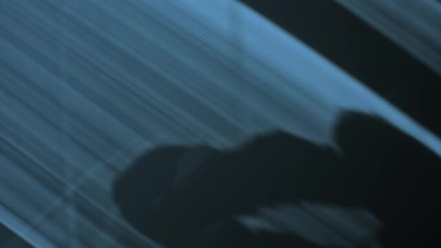 Dark moonlight shadow from office window as man talks on phone at night. Late convesation in illegal business deal. Silhouette of businessman or criminal suspicious activity. Shadow on indoor wall