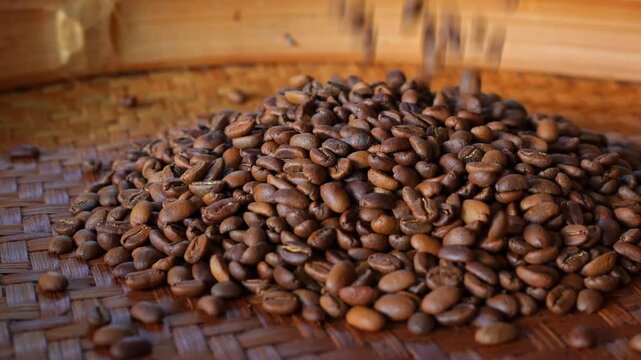 Pouring roasted arabica coffee beans, medium roast profile, java typica variety from indonesia, on traditional bamboo tray	
