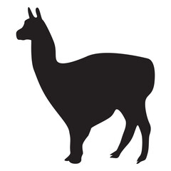 Naklejka premium Isolated llama animal
