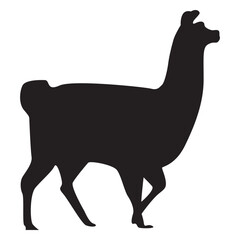 Naklejka premium Isolated llama walking silhouette