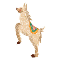 Naklejka premium Llama on hind legs illustration
