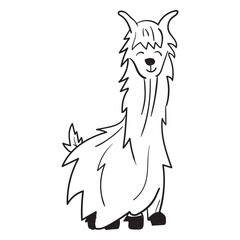 Naklejka premium Llama sitting stroke