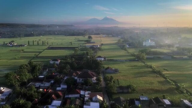 Drone Shot of Beautiful View of Merapi Mountain from Nearby Rice Field