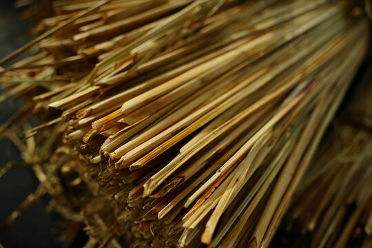 A living fossil of intangible cultural heritage from Dongguan&rsquo;s water towns in Guangdong, China.