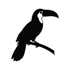 Fototapeta premium Black and white toucan bird sitting on branch silhouette vector illustration, jungle bird perched silhouette vector illustration
