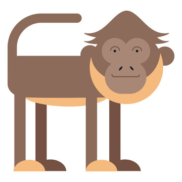 Spider monkey illustration