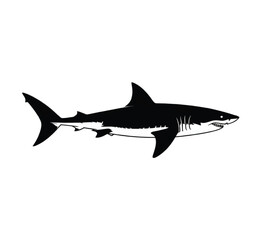 Obraz premium Bold black silhouette of a white shark marine vector illustration EPS PNG file