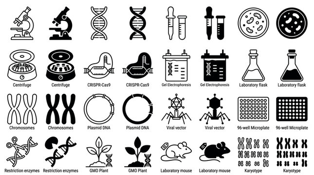 A collection of scientific icons for genetics and molecular biology. Includes line and glyph styles for lab equipment, DNA, and CRISPR. Perfect for science infographics and education.