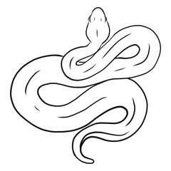 Fototapeta premium Snake twisting sketch