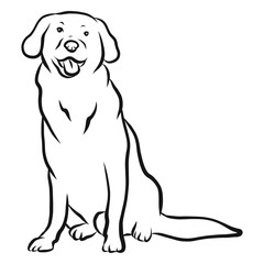 Dog ear tail tongue sketch © Vexels