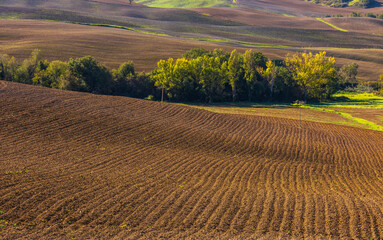 Naklejka premium Tuscan hills showing abstract patterns of plowed soil, Italy.