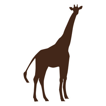 Giraffe neck tall long ossicones silhouette