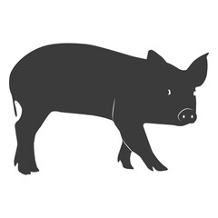 Obraz premium Pig snout ear hoof silhouette
